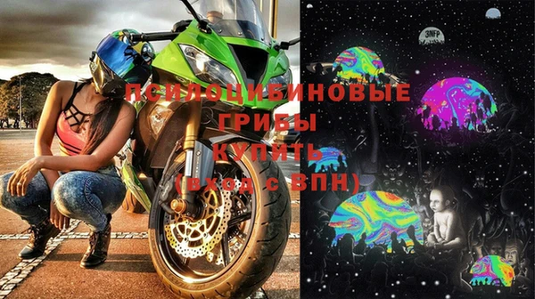 ПСИЛОЦИБИНОВЫЕ ГРИБЫ Алзамай