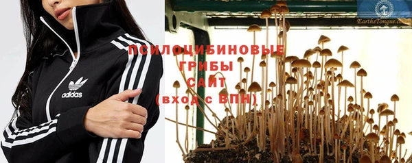 ПСИЛОЦИБИНОВЫЕ ГРИБЫ Алзамай