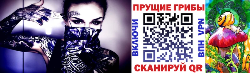 Псилоцибиновые грибы ЛСД  продажа наркотиков  Ветлуга 